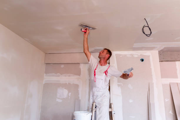 Best Acoustic Drywall Installation  in Little Round Lake, WI